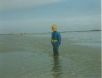 AUTOR: - | TITLE: 1993-1994 | DESCRIPTION: -